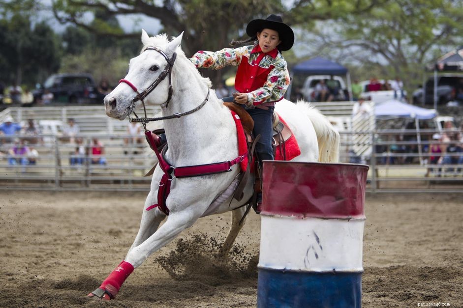 Barrel Racing Basics: Your First Guide to Rodeo Success
