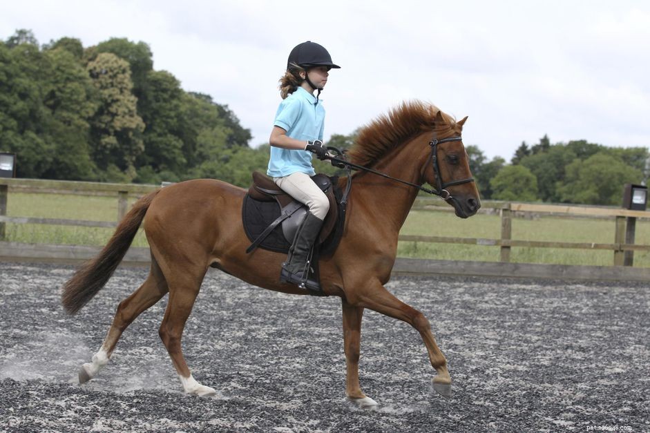 Master Heel Placement: A Guide to Secure and Comfortable Riding