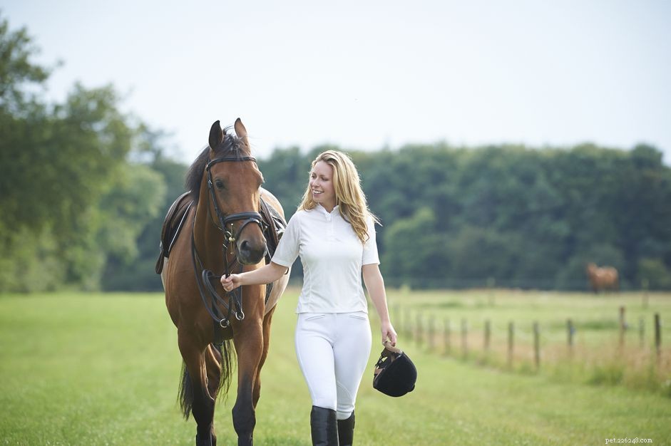 Mastering Horse Leading: A Professional Guide for Riders