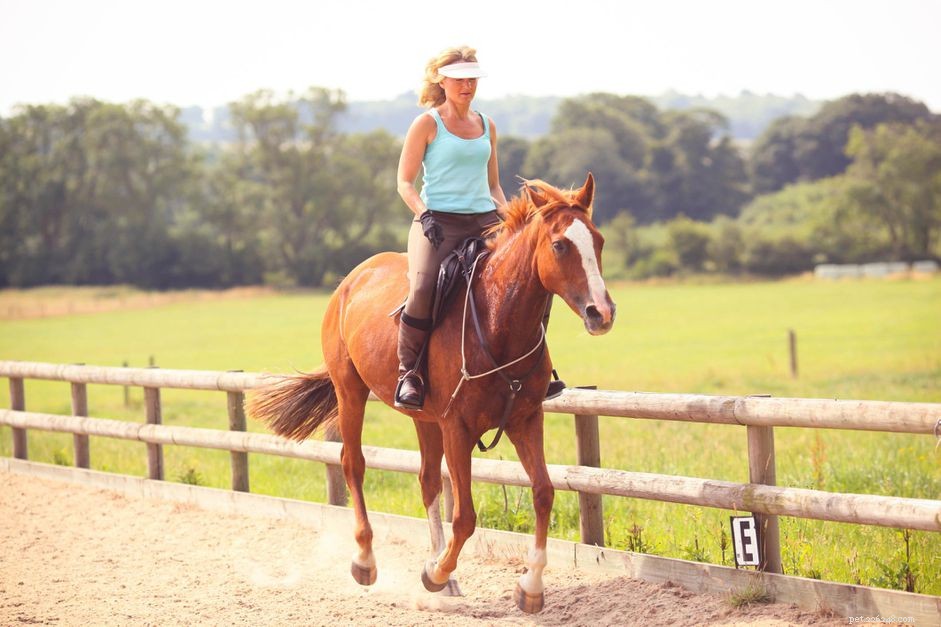 Mastering the Trot: Tips for a Secure Seat