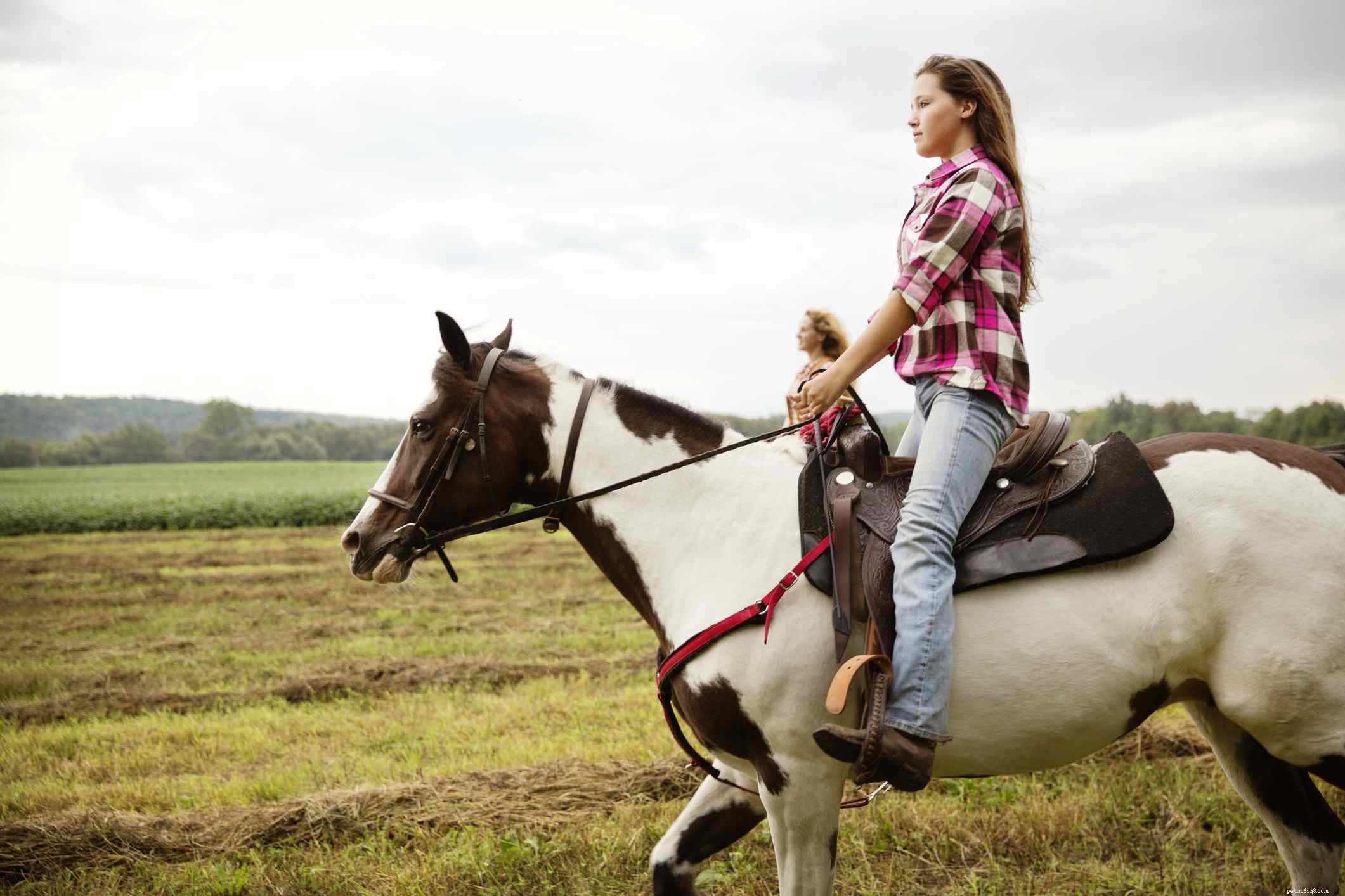 Mastering the Trot: Tips for a Secure Seat