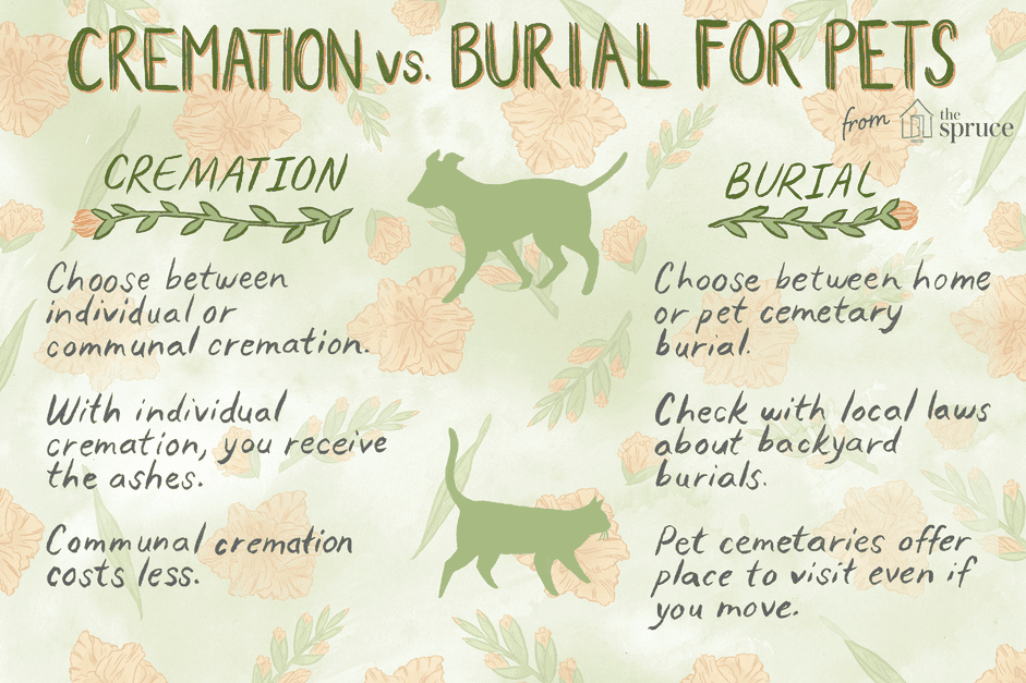 Professional Pet Aftercare: Honoring Your Furry Friend