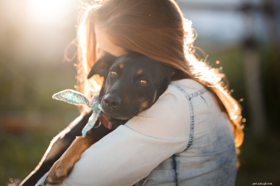 Finding Your New Dog: Trusted Sources & Expert Tips