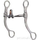 15 Must-Know Horse Bit Mouthpieces for Every Rider