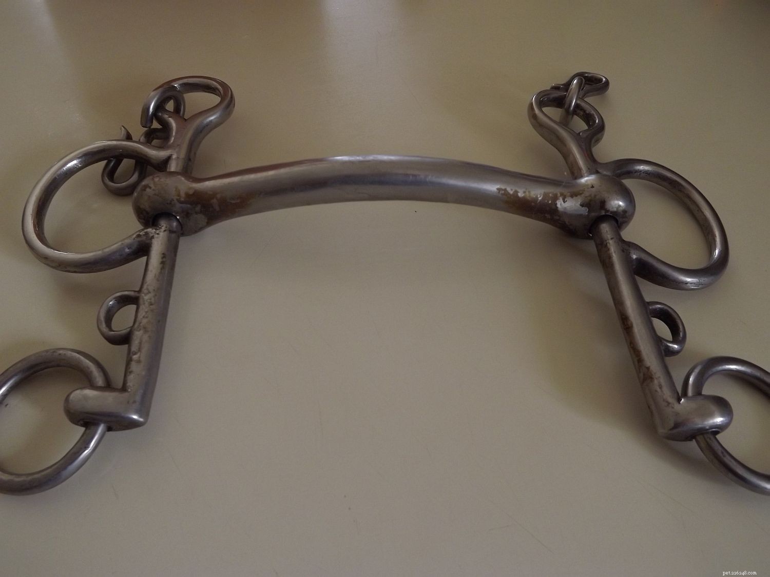 15 Must-Know Horse Bit Mouthpieces for Every Rider