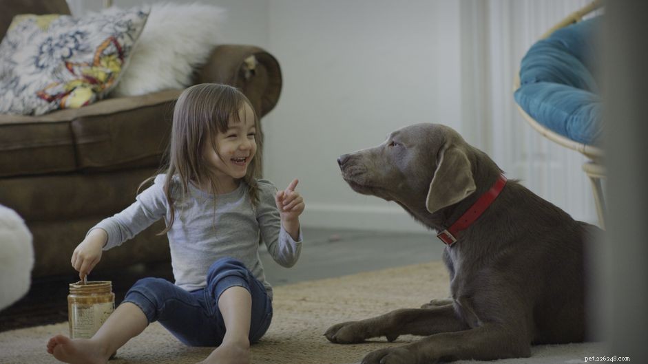 Are Peanuts Safe for Dogs? A Vet-Approved Guide