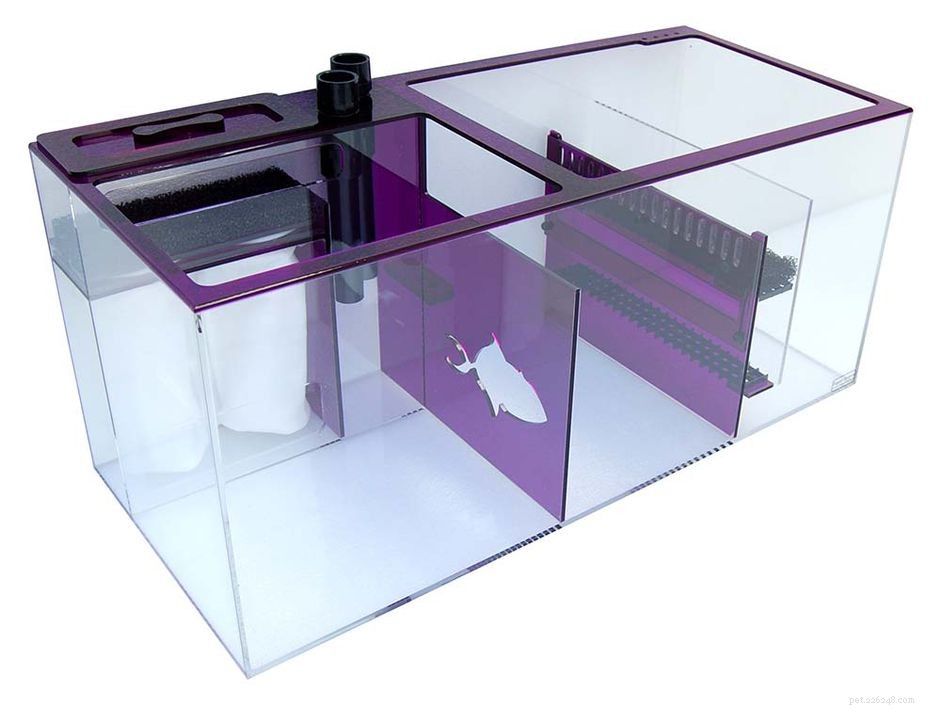 Is a Sump Essential for Your Saltwater Aquarium?