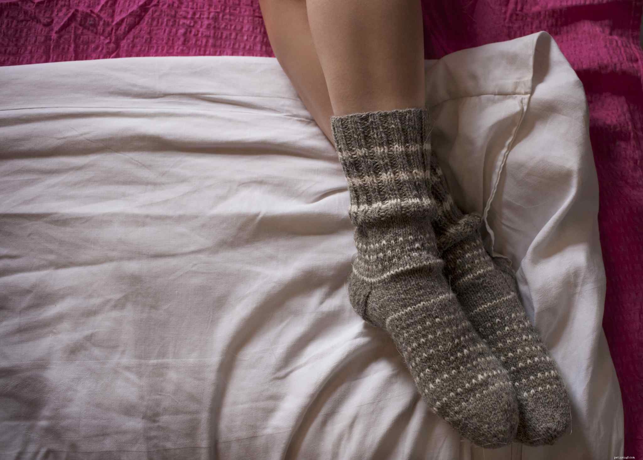 15 Thoughtful Gifts Every Horse Lover Will Appreciate