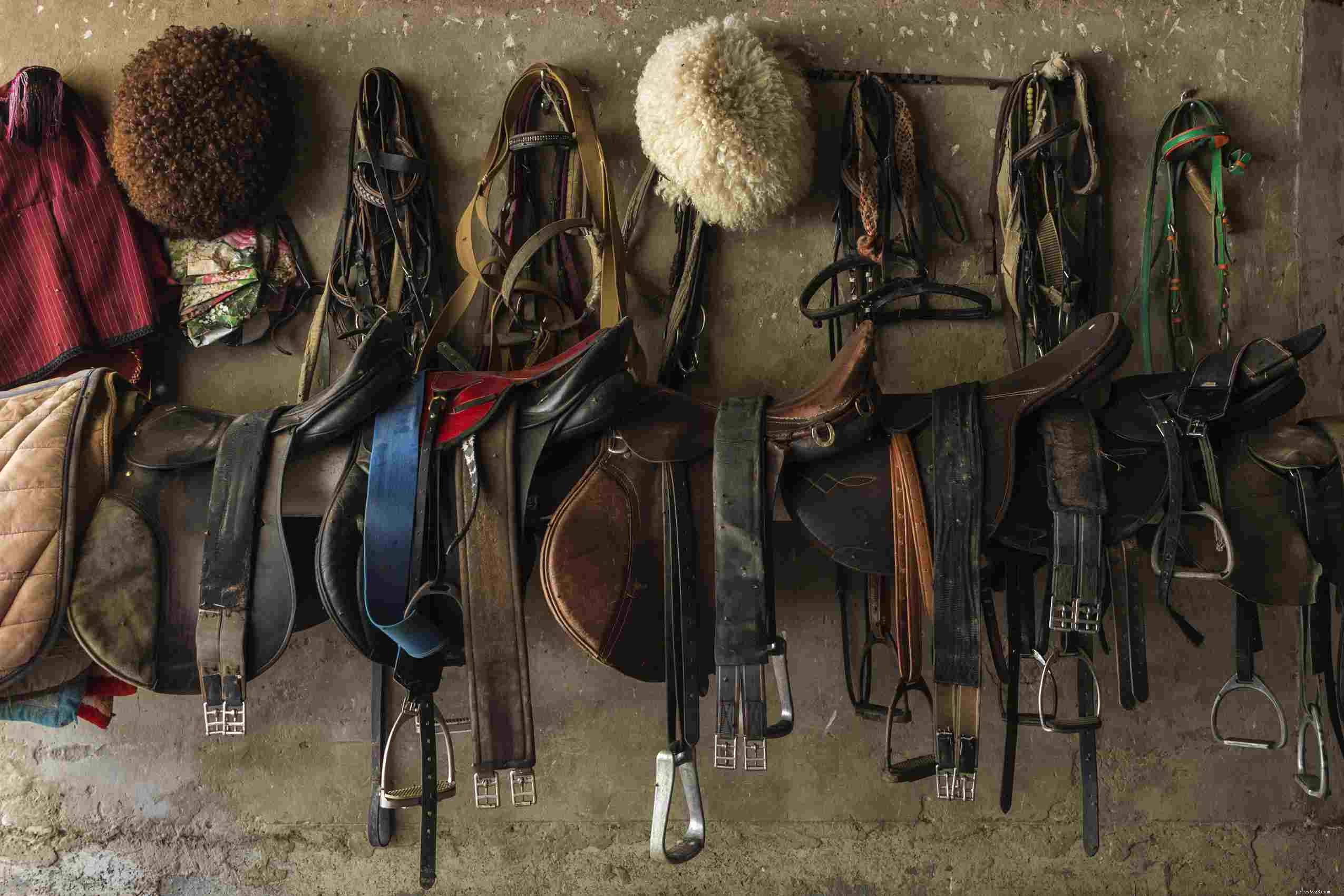 15 Thoughtful Gifts Every Horse Lover Will Appreciate