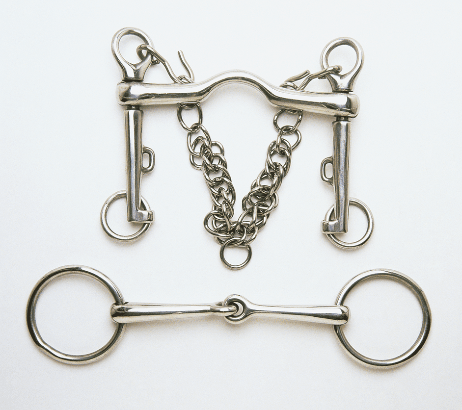 Understanding the Port: Its Role and Design in Equine Bits