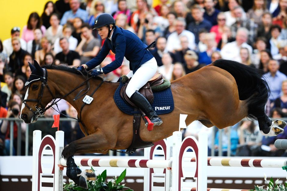 Stadium Jumping 101: Mastering the Art of Arena Hurdle Racing