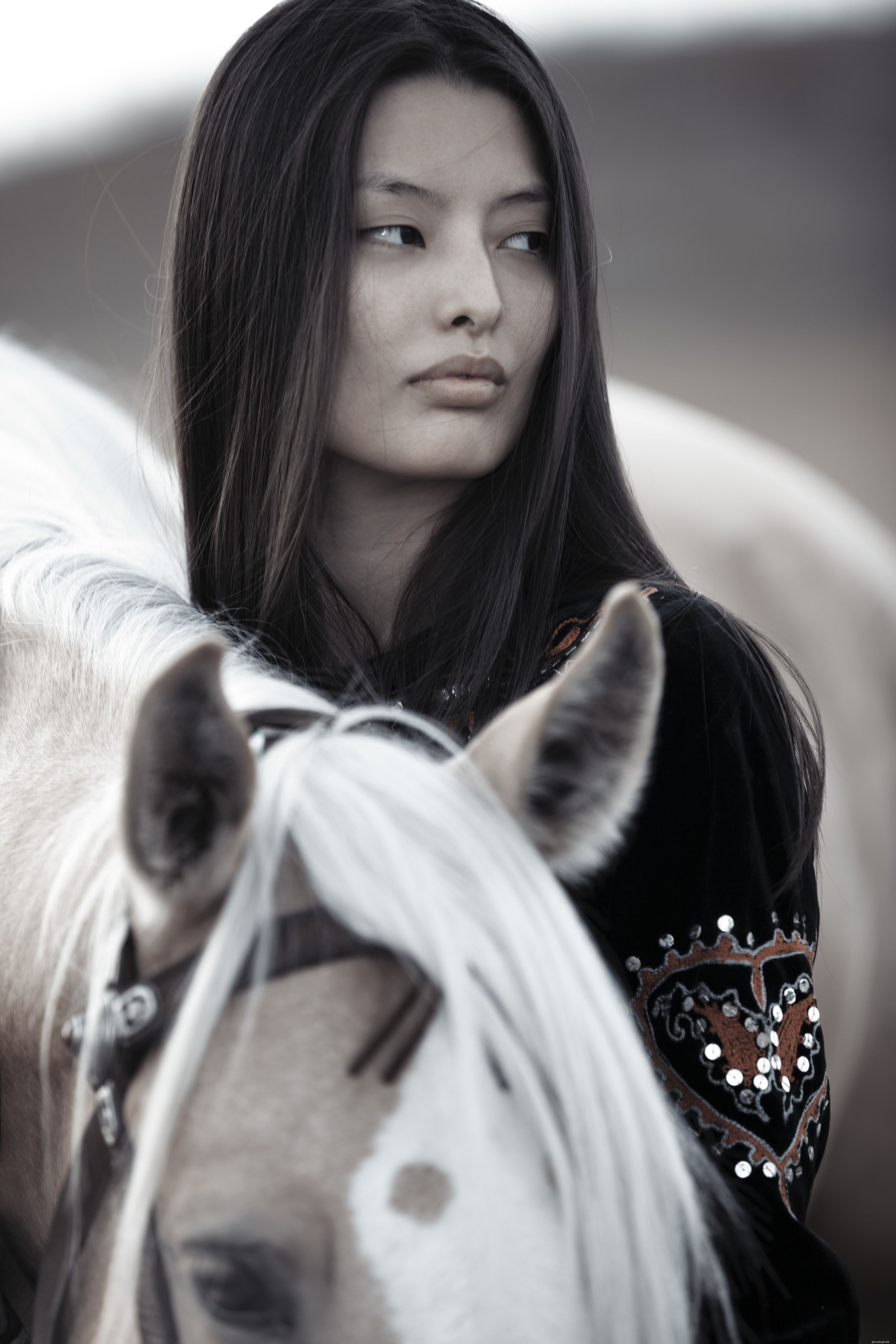Horse Facial Markings: Your Unique Identification Tool