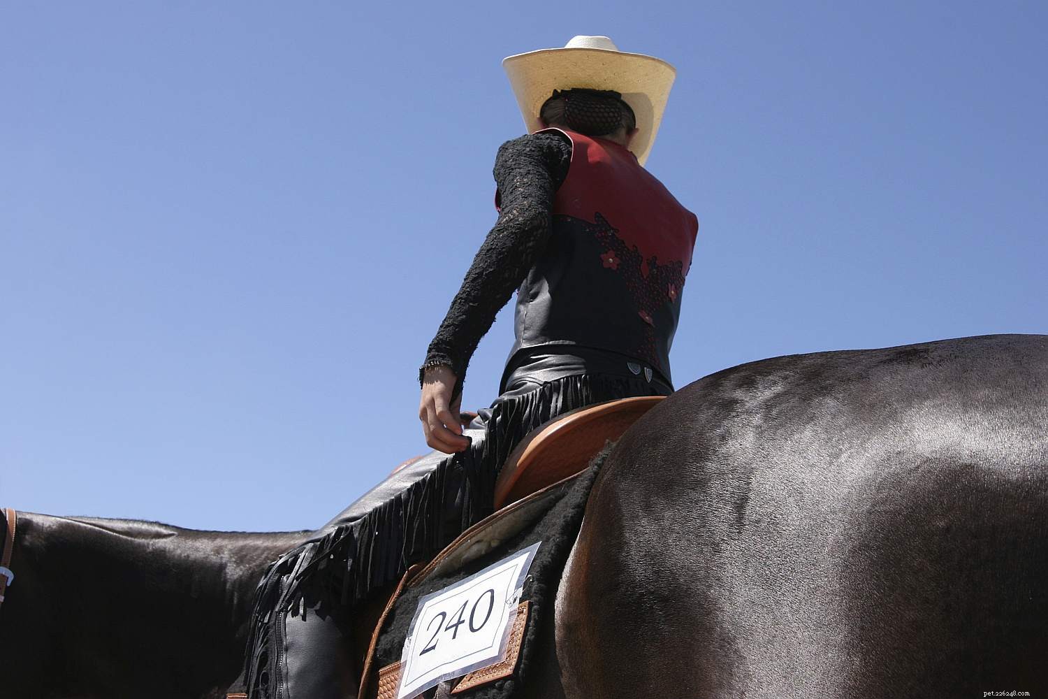 Essential Riding Lesson Phrases for New Riders