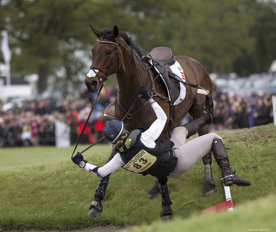 Prevent Injuries: How to Safely Dismount When You Fall from Your Horse