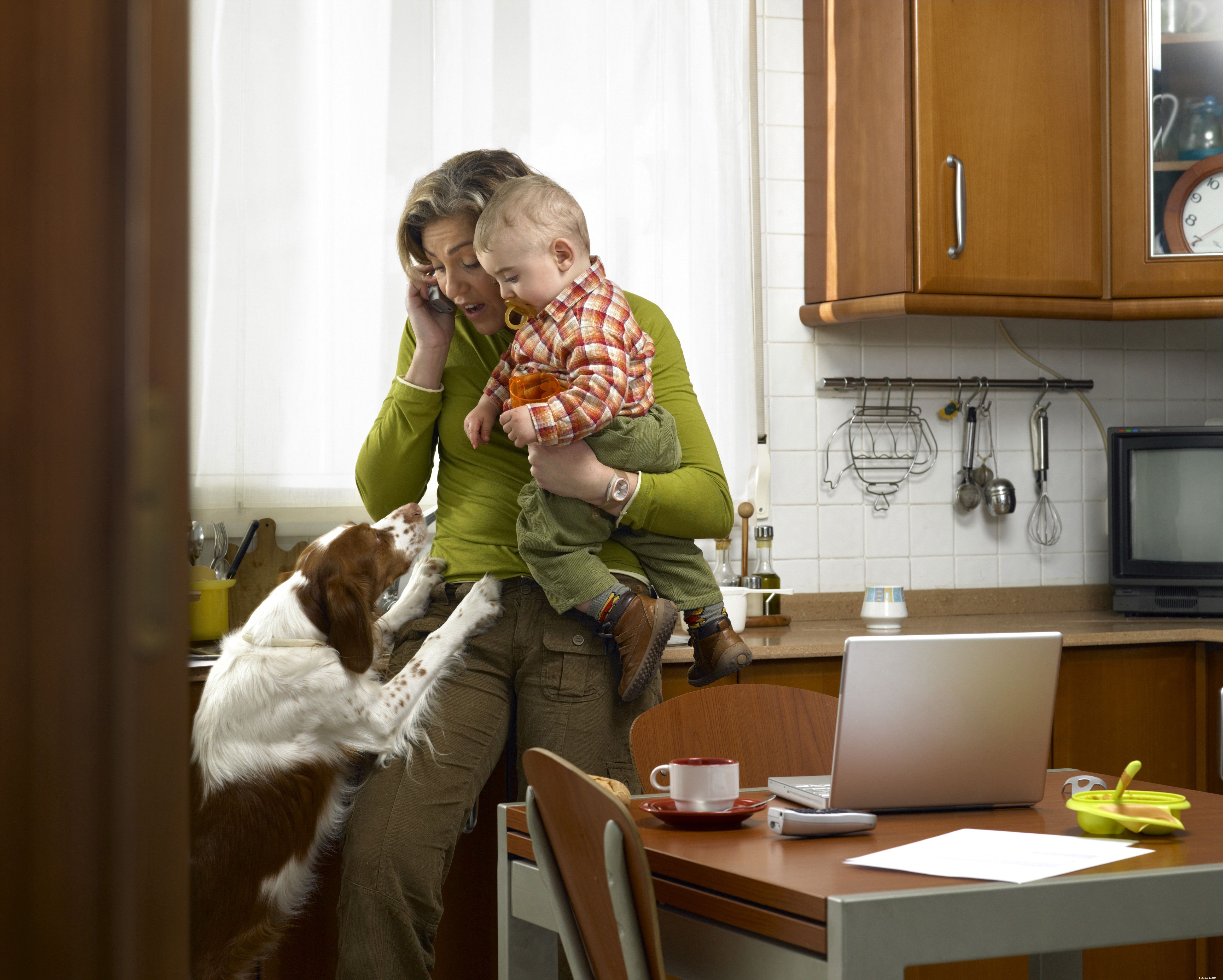Busy Dog Owners: How to Give Your Pup the Care They Deserve