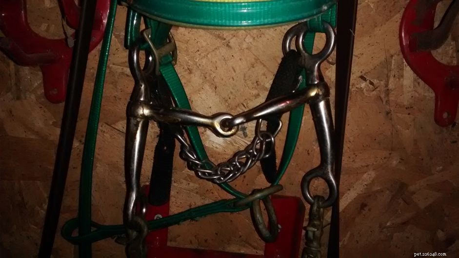 Tom Thumb Bit: Actions, Uses, and Handling Tips