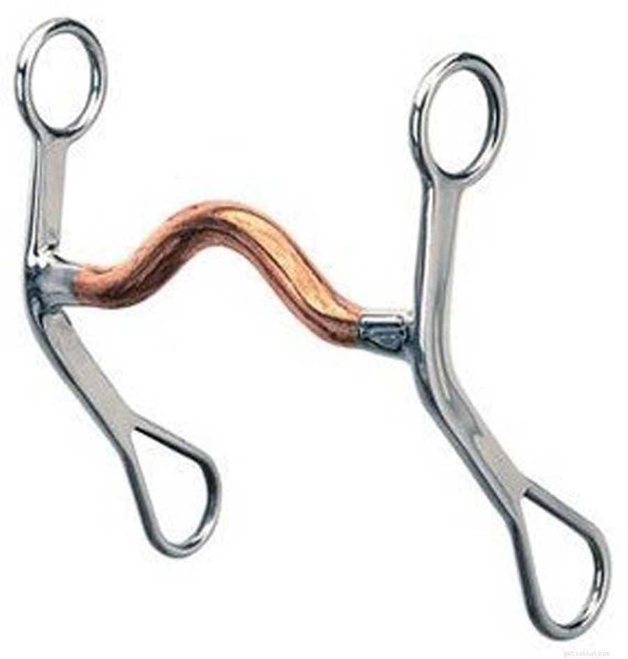 Essential Guide to Western Riding Bits: Types, Features & Selection Tips