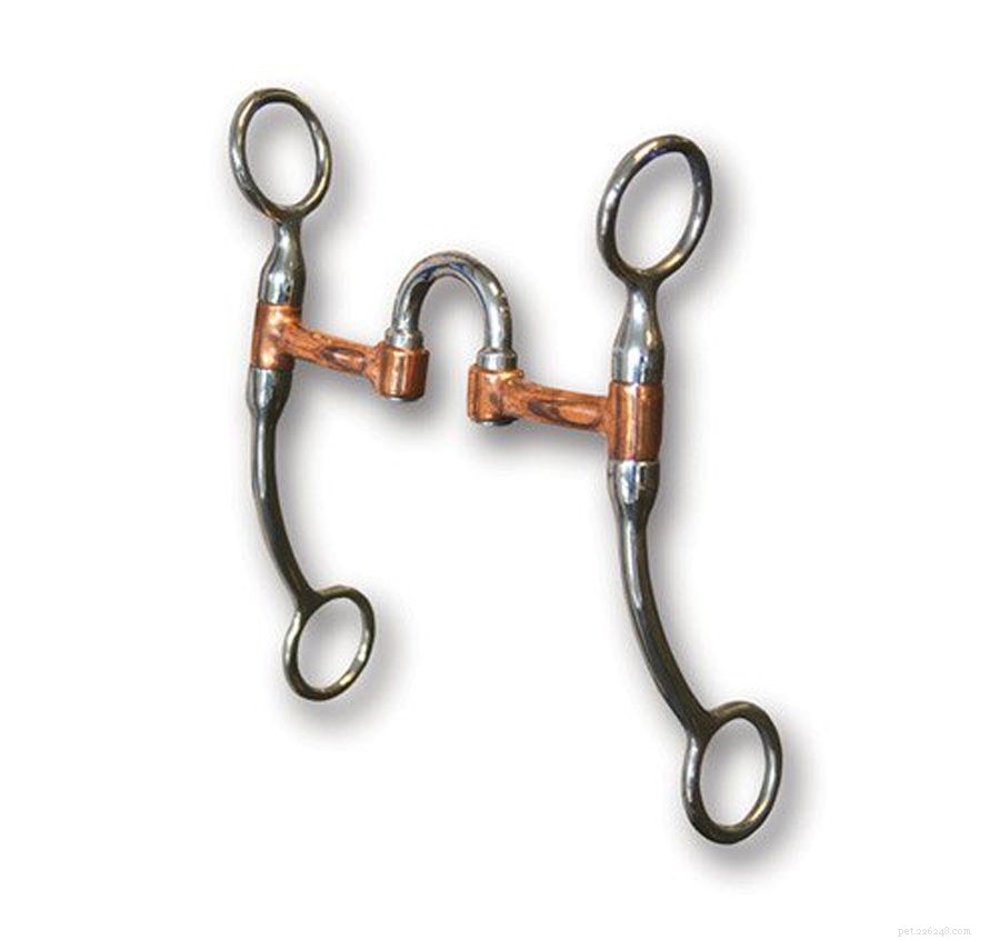 Essential Guide to Western Riding Bits: Types, Features & Selection Tips