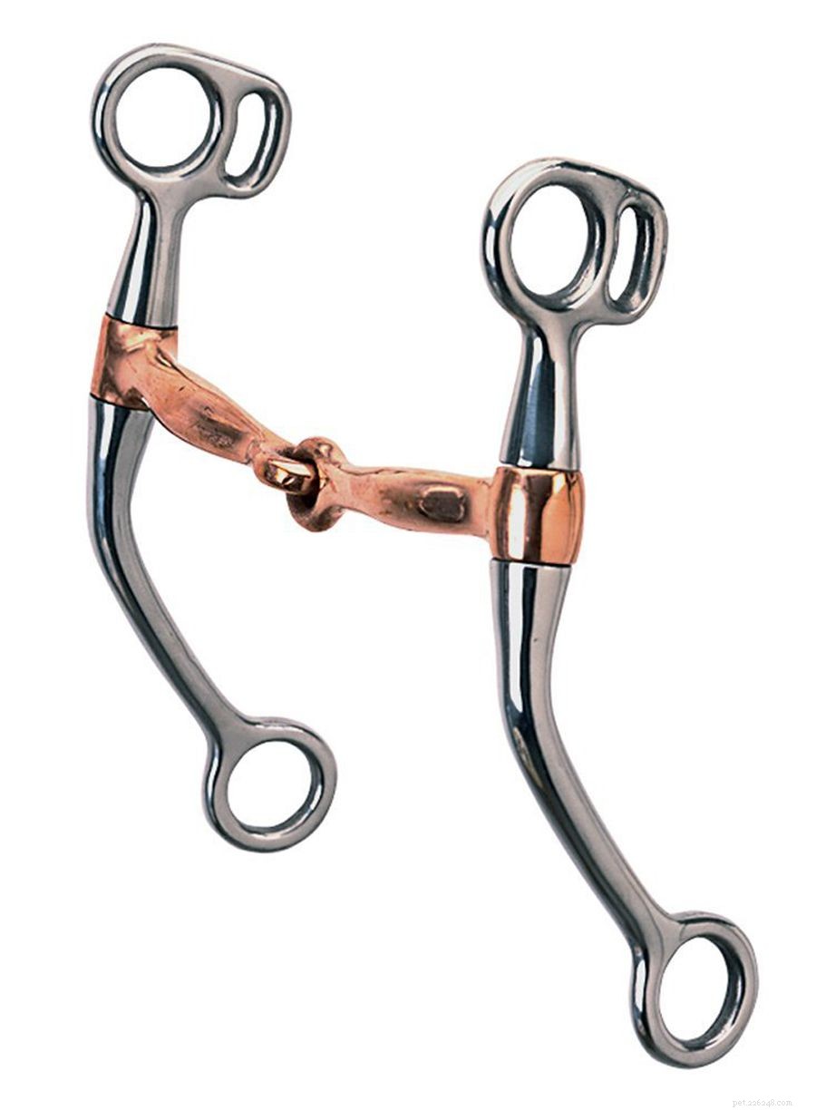 Essential Guide to Western Riding Bits: Types, Features & Selection Tips