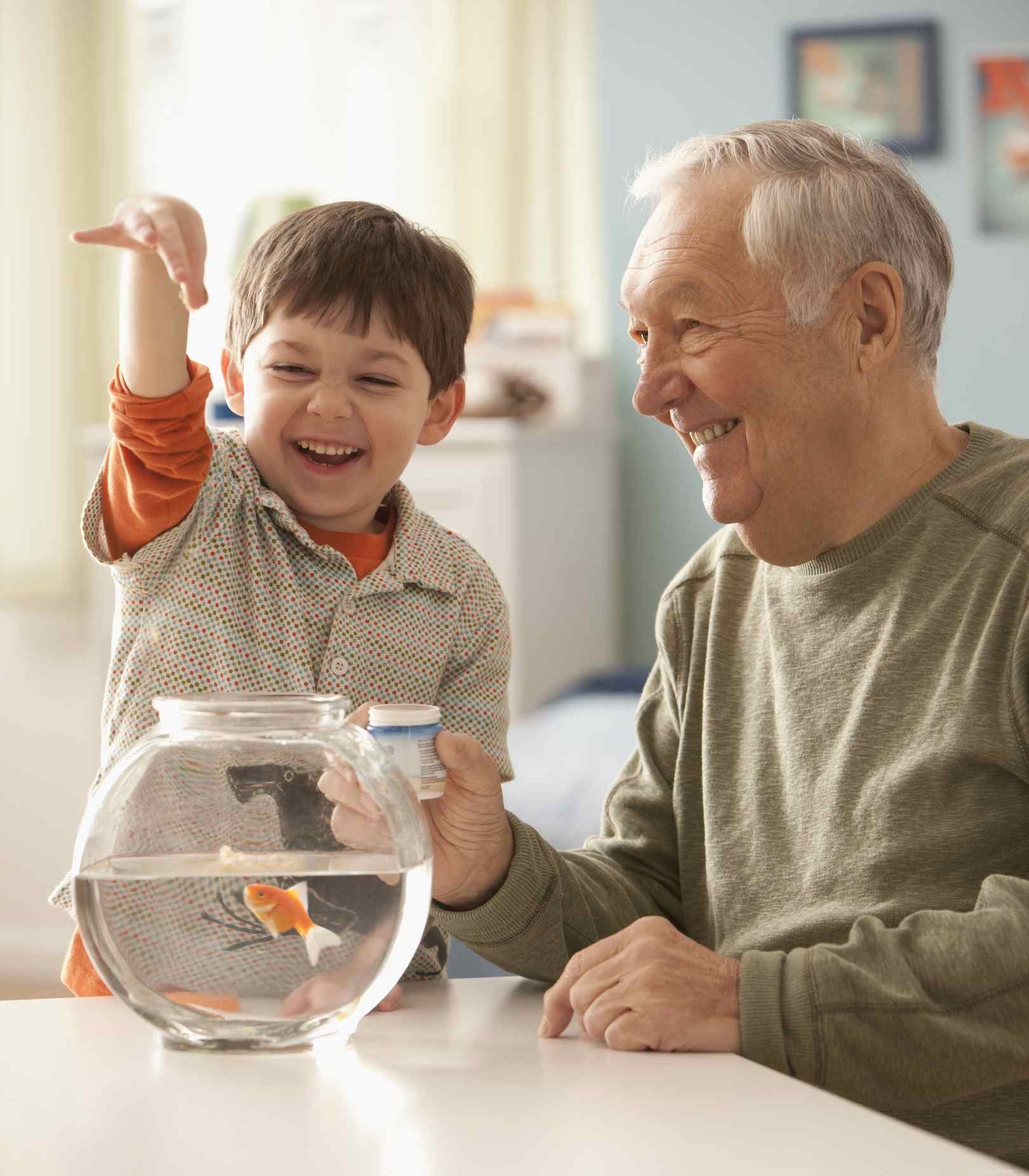 Top Pet Choices for Seniors: Comfort, Companionship, and Care