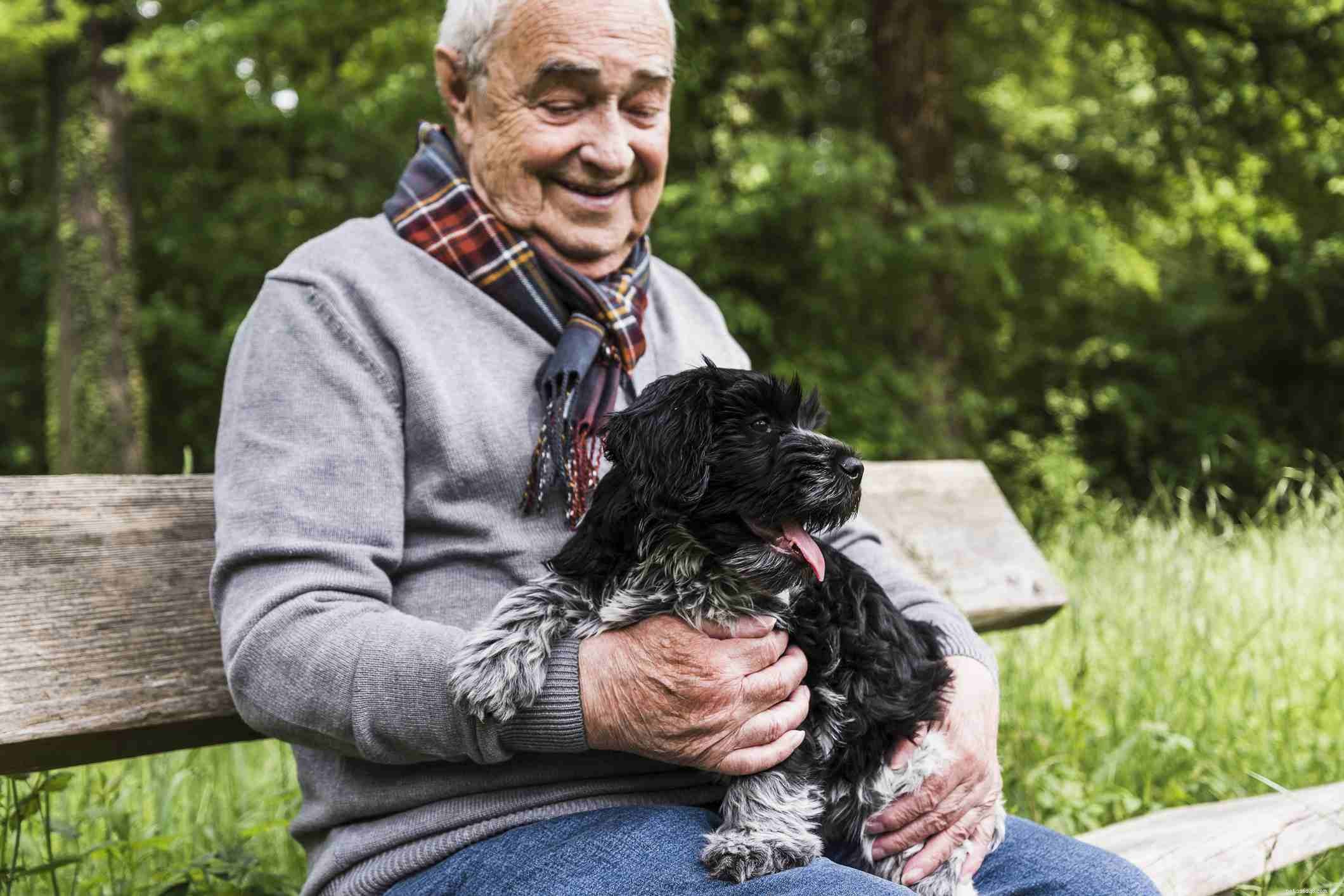 Top Pet Choices for Seniors: Comfort, Companionship, and Care