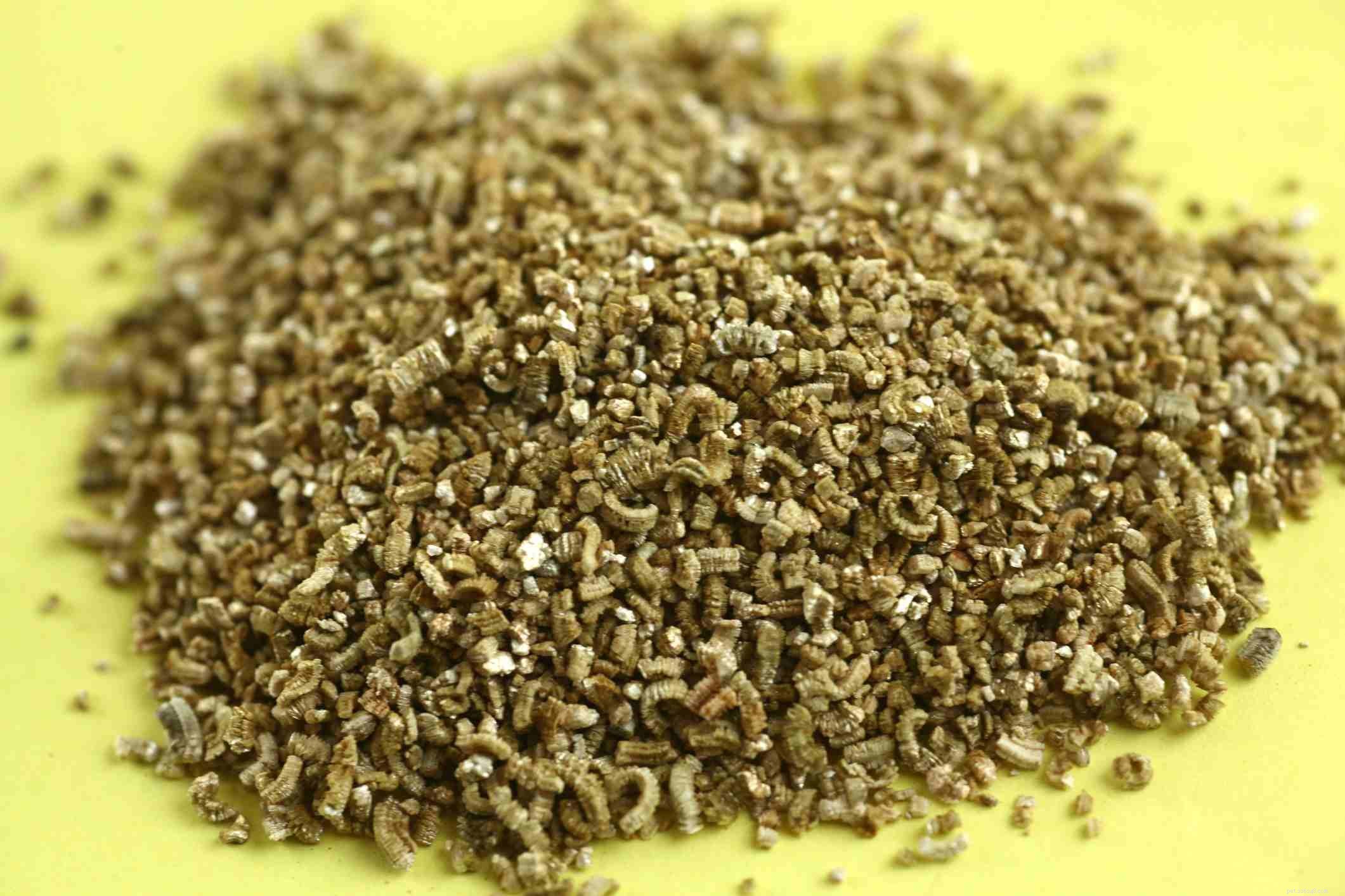 Choosing the Right Bedding and Substrate for Your Pet Reptile