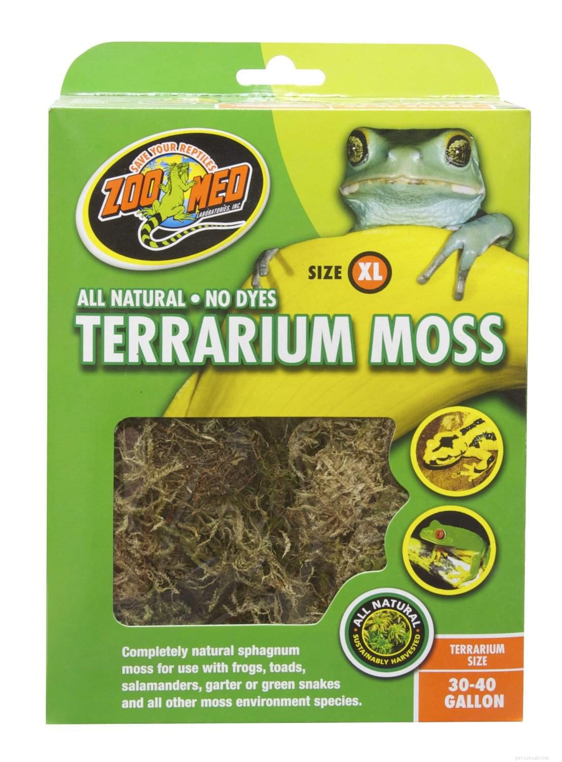 Choosing the Right Bedding and Substrate for Your Pet Reptile