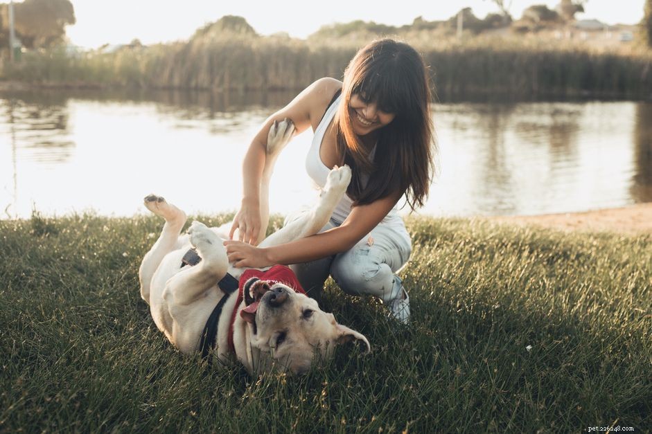 Keep Your Dog Happy & Healthy: Proven Tips for Long‑Term Well‑Being