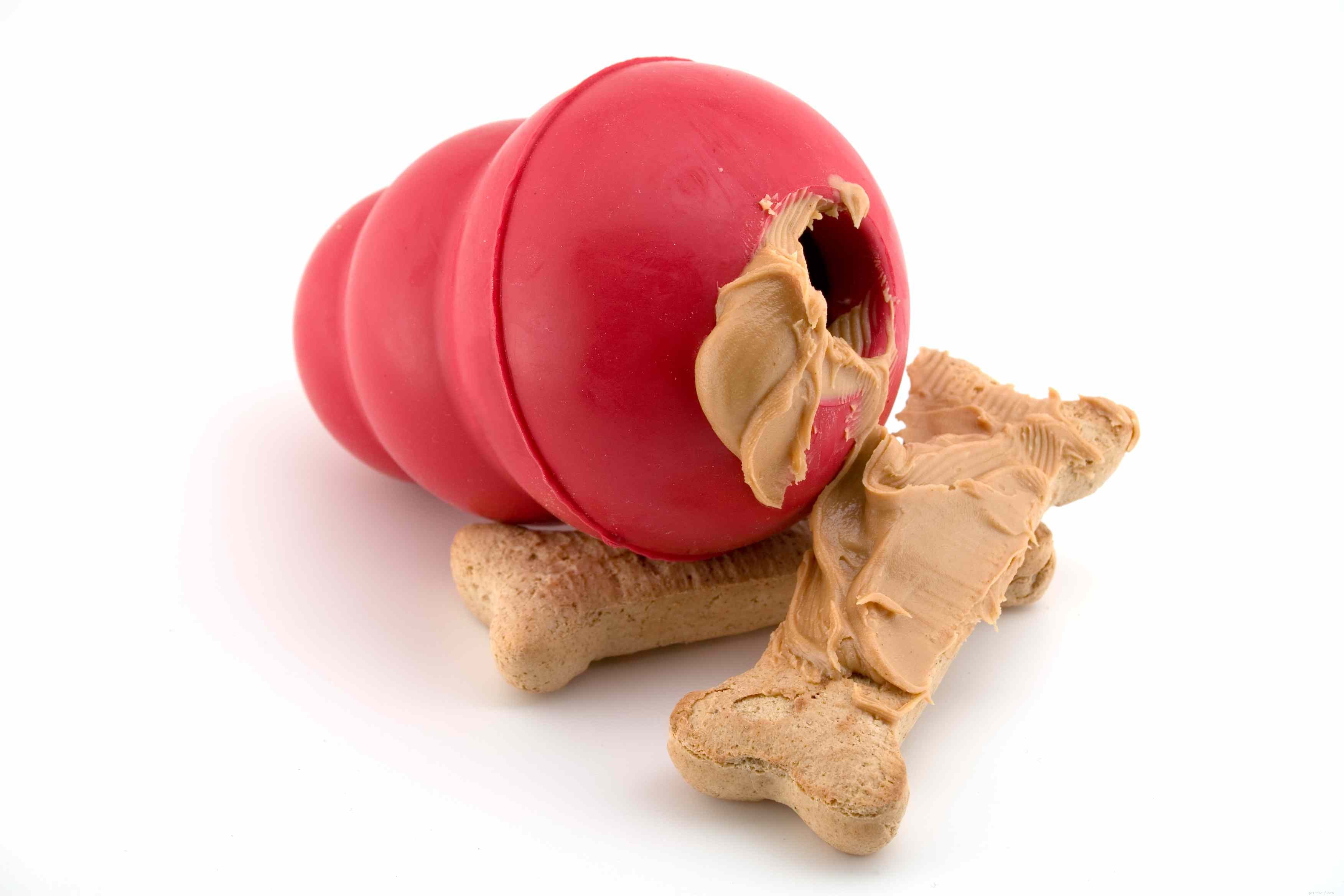 Top Dog Toy Styles: How to Pick Toys That Keep Your Canine Happy and Healthy