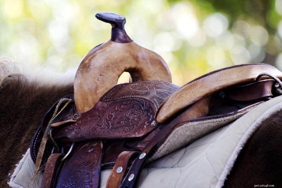 Choosing the Perfect Western Saddle Pad or Blanket: A Guide to Comfort & Care