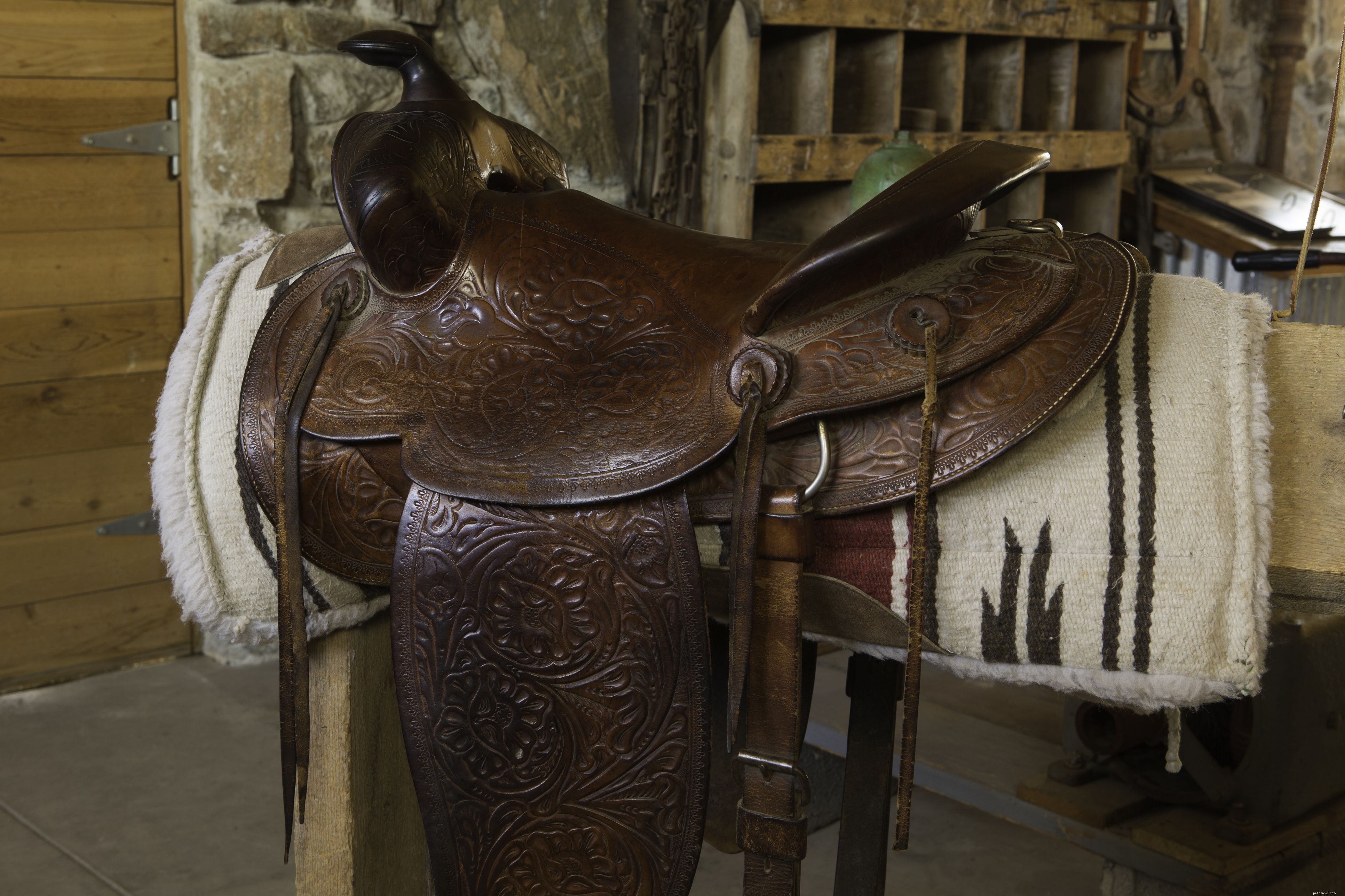 Choosing the Perfect Western Saddle Pad or Blanket: A Guide to Comfort & Care