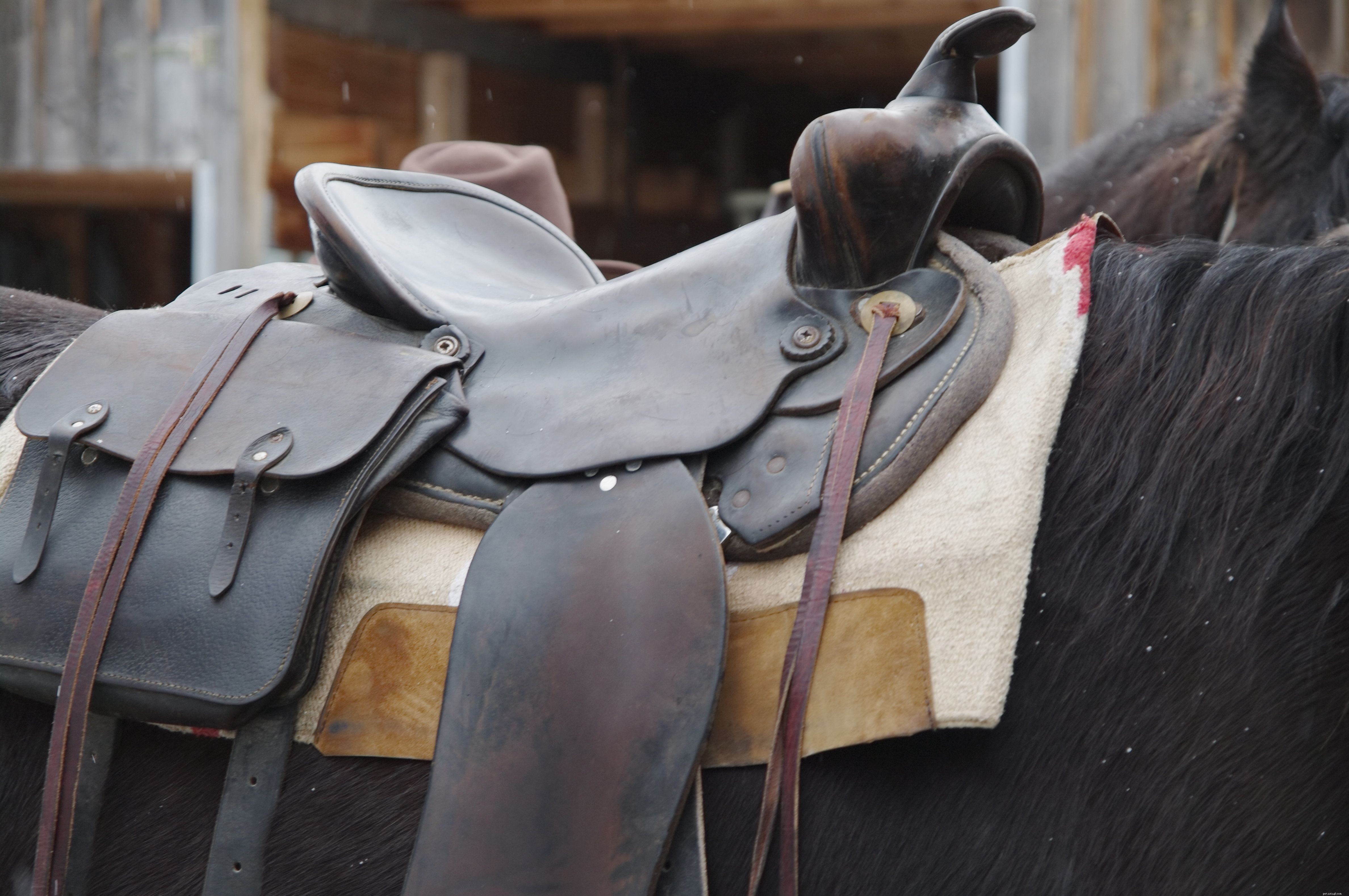 Choosing the Perfect Western Saddle Pad or Blanket: A Guide to Comfort & Care