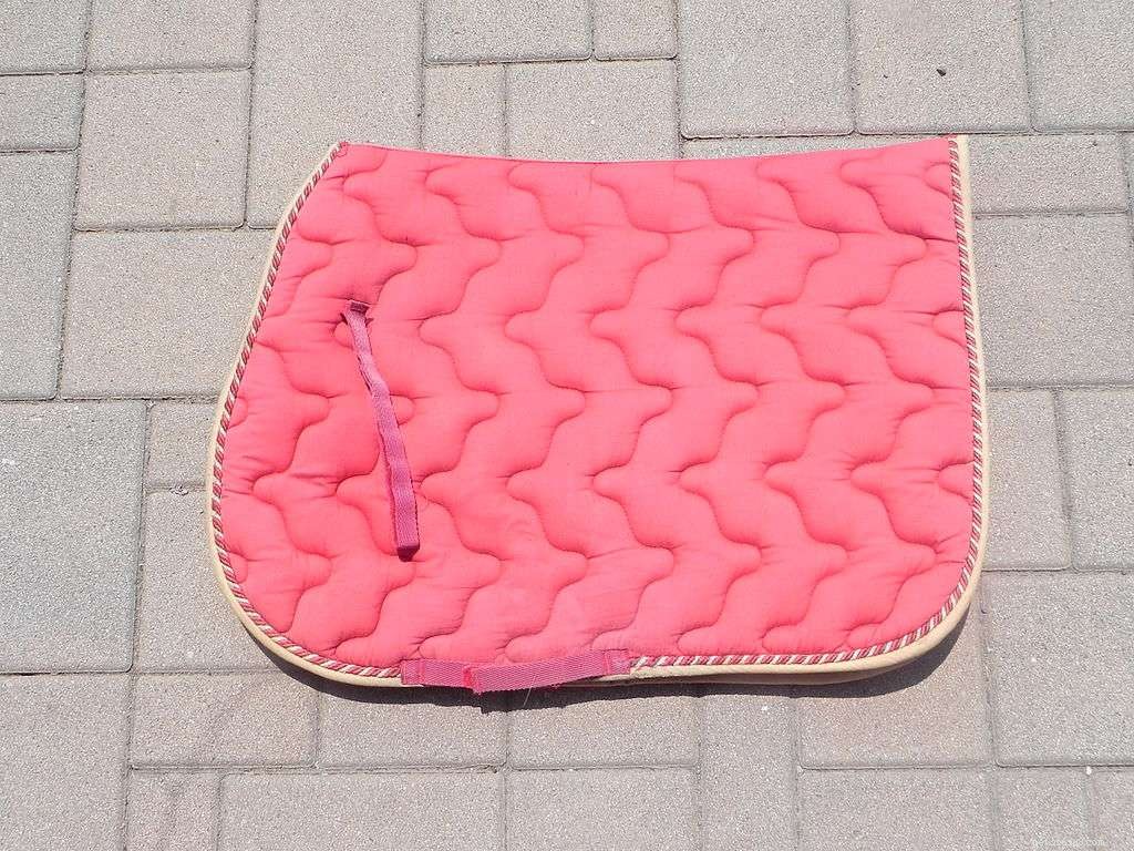 Choosing the Perfect Western Saddle Pad or Blanket: A Guide to Comfort & Care