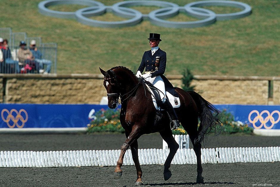 Understanding Hors Concours: Competing Without Winning