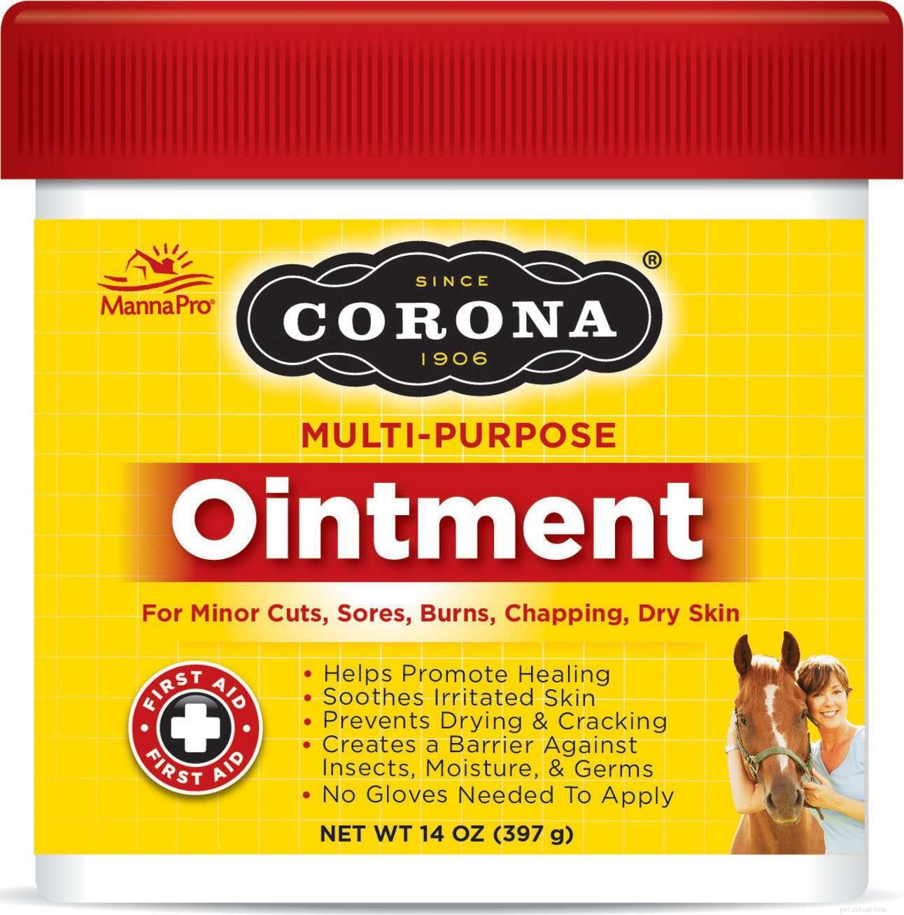 Essential Equine First‑Aid Kit: Must‑Have Items for Your Stable and Events