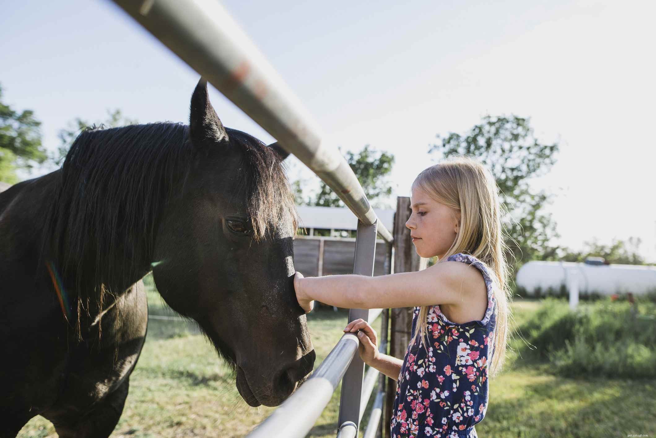 How to Acquire and Care for Your Own Horse: A Complete Guide