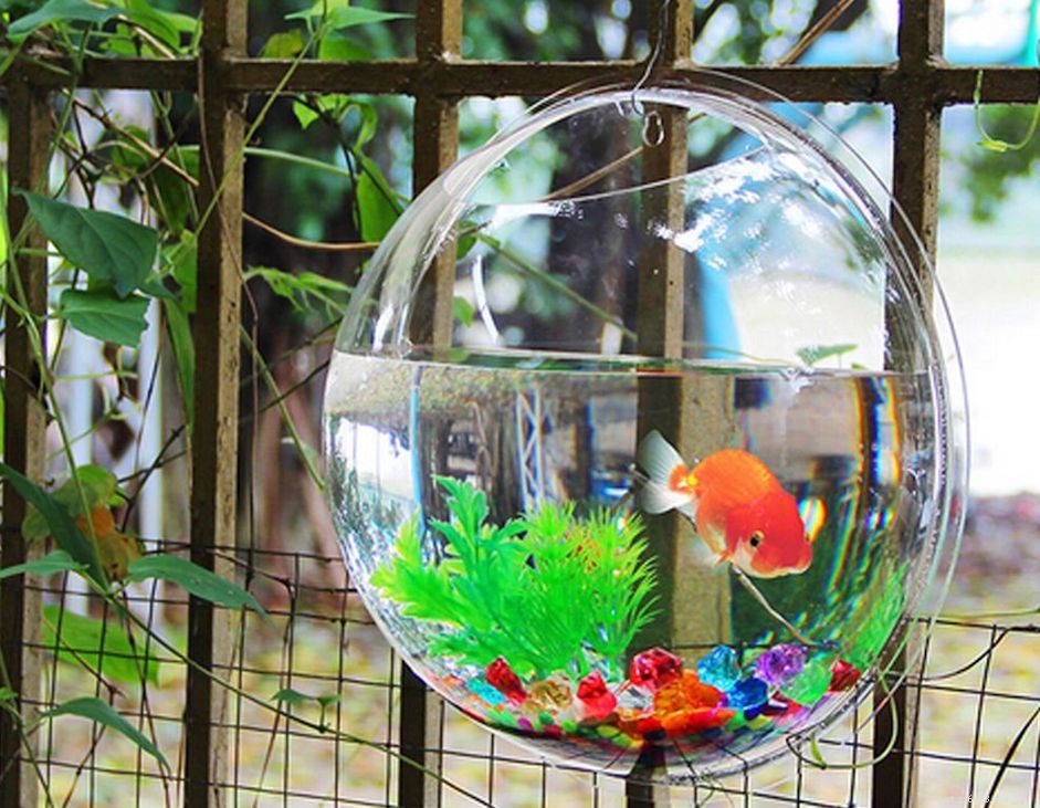 Is a Wall-Mounted Fish Bowl Right for Your Aquatic Pets? Pros & Cons