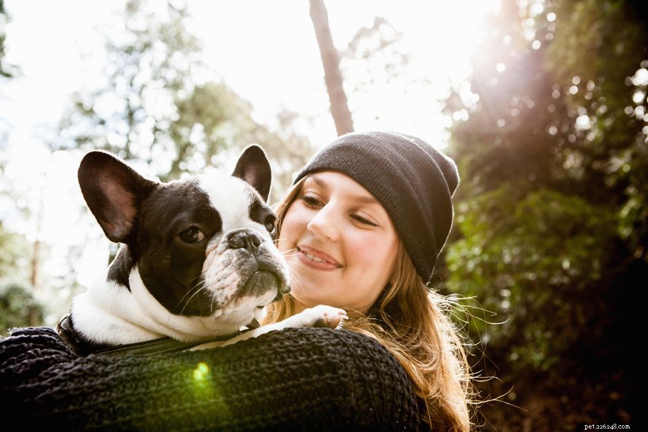 Your First Dog: Choosing, Finding, and Preparing for Lifelong Companionship