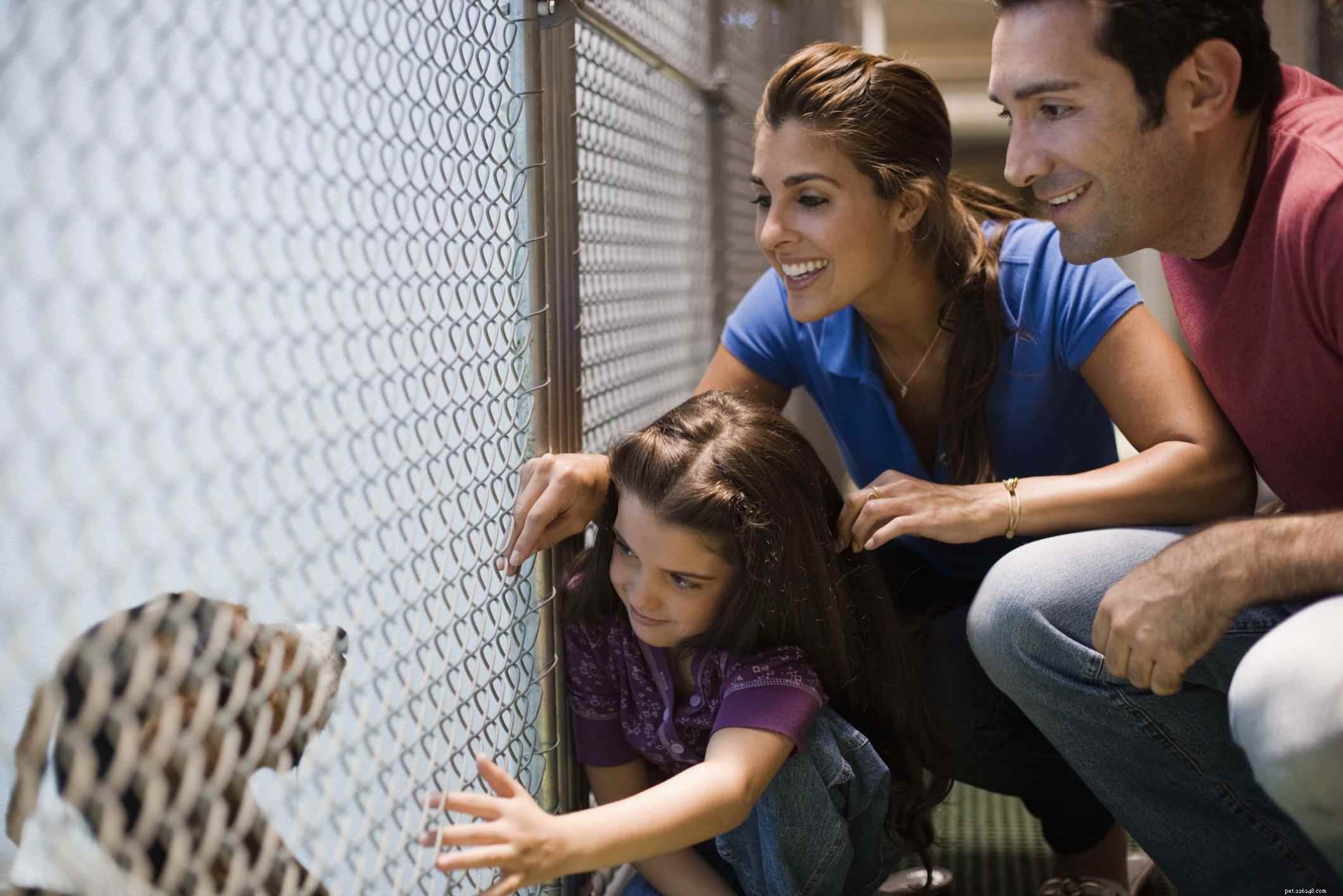 Your First Dog: Choosing, Finding, and Preparing for Lifelong Companionship