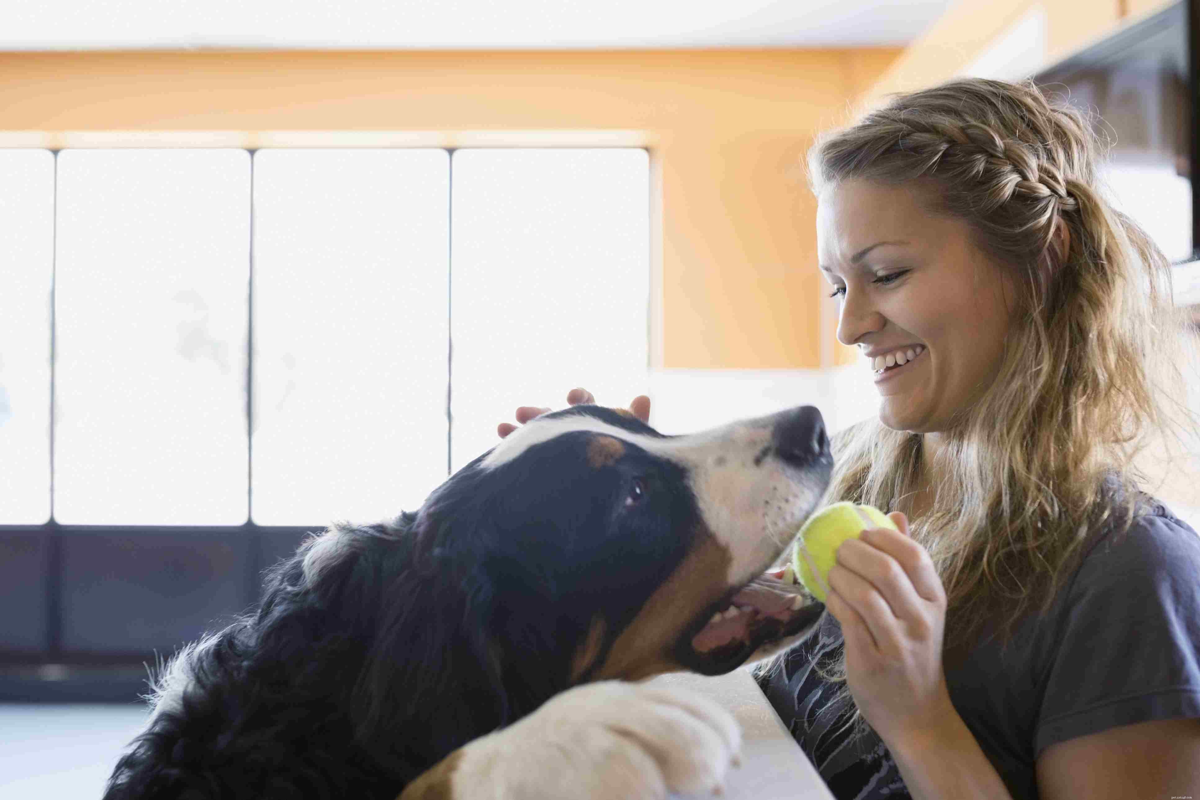 Your First Dog: Choosing, Finding, and Preparing for Lifelong Companionship