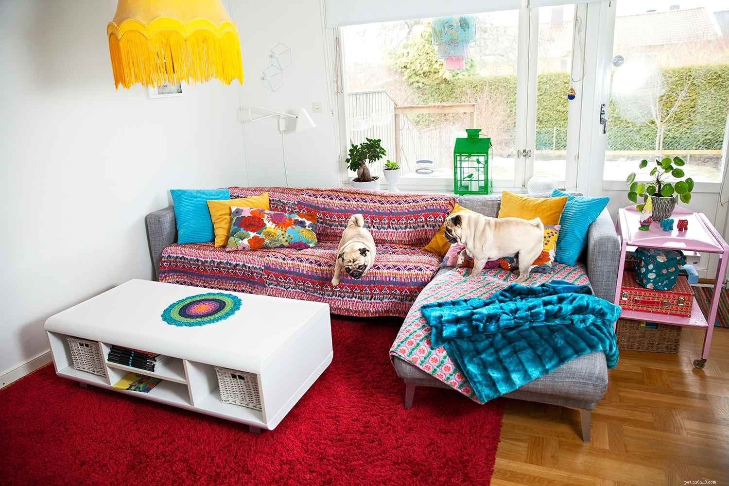 Train Your Dog to Live Harmoniously with Multiple Dogs