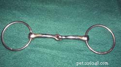 Top 6 Essential English Riding Bits Every Rider Should Know