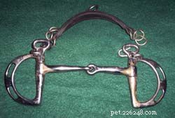 Top 6 Essential English Riding Bits Every Rider Should Know