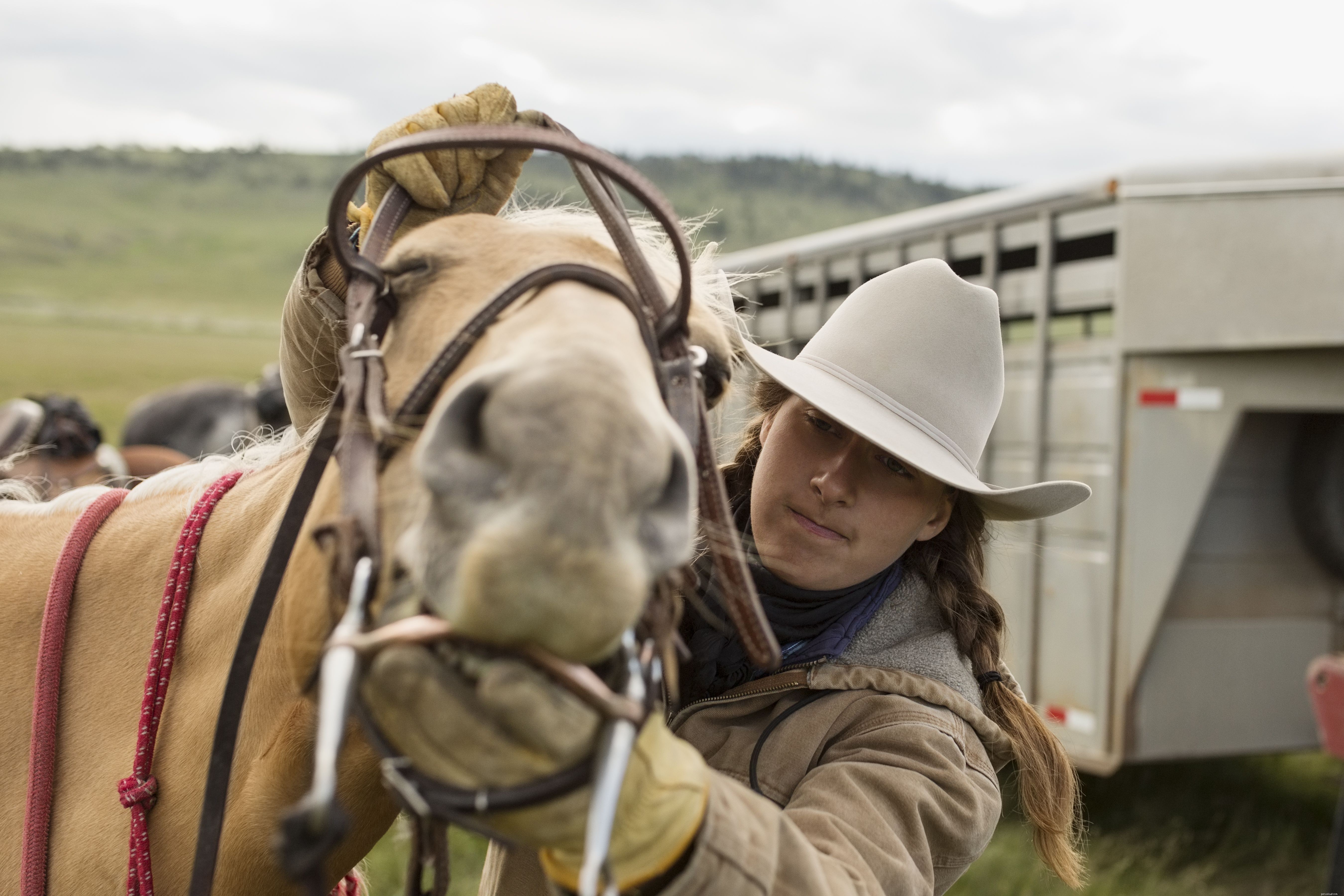 Punishing Your Horse – Why It Often Fails and Better Alternatives