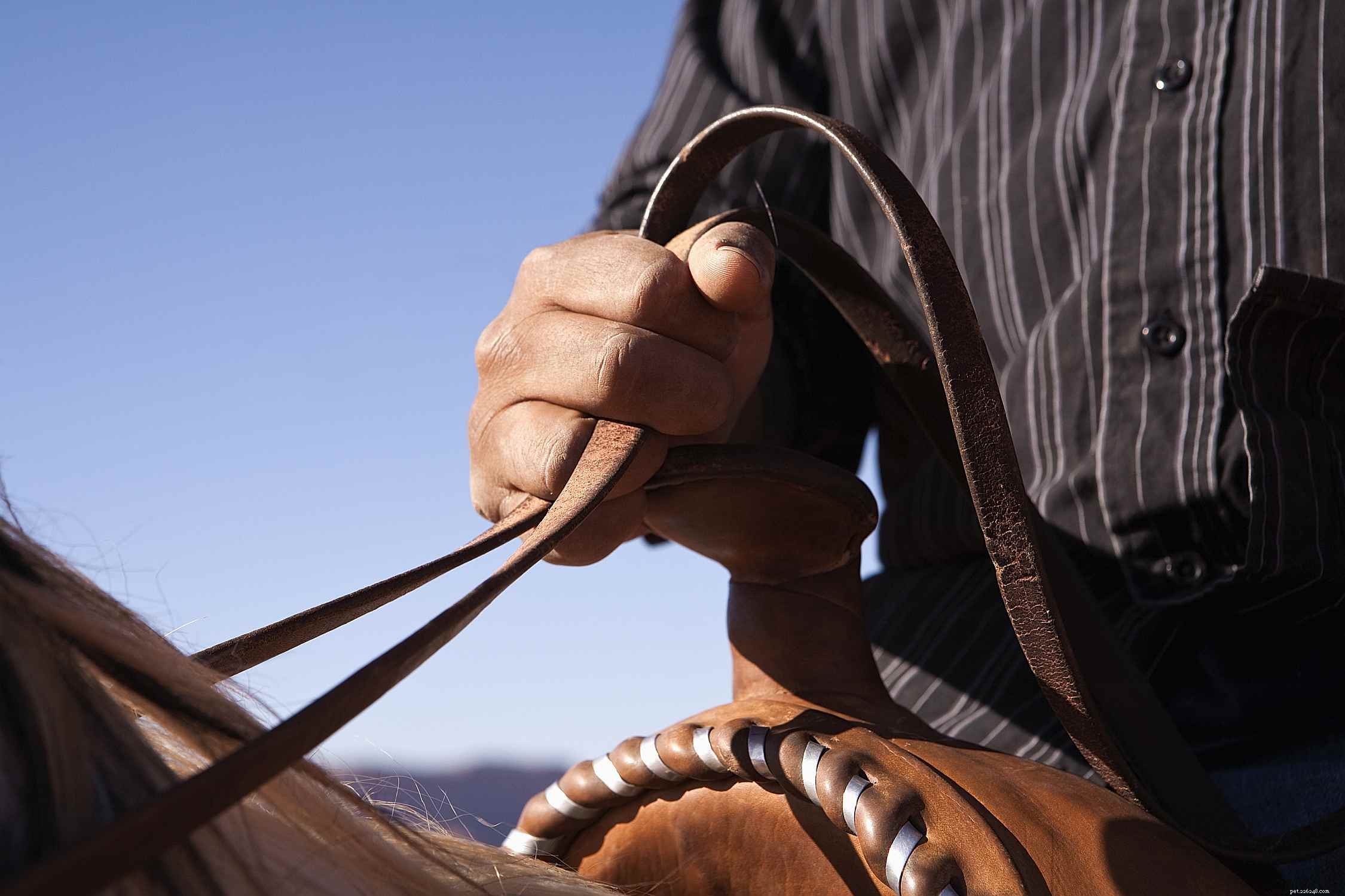 Punishing Your Horse – Why It Often Fails and Better Alternatives