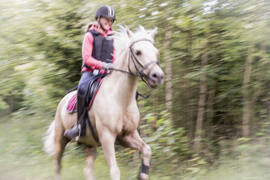 Mastering Diagonal Riding: Identify the Right Trot Pattern for Optimal Performance