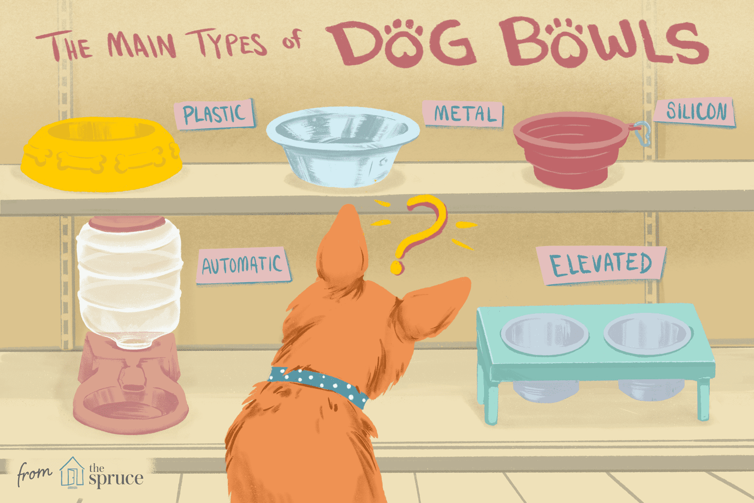 Choosing the Ideal Dog Bowl: Safety, Durability, and Nutrition for Your Pet