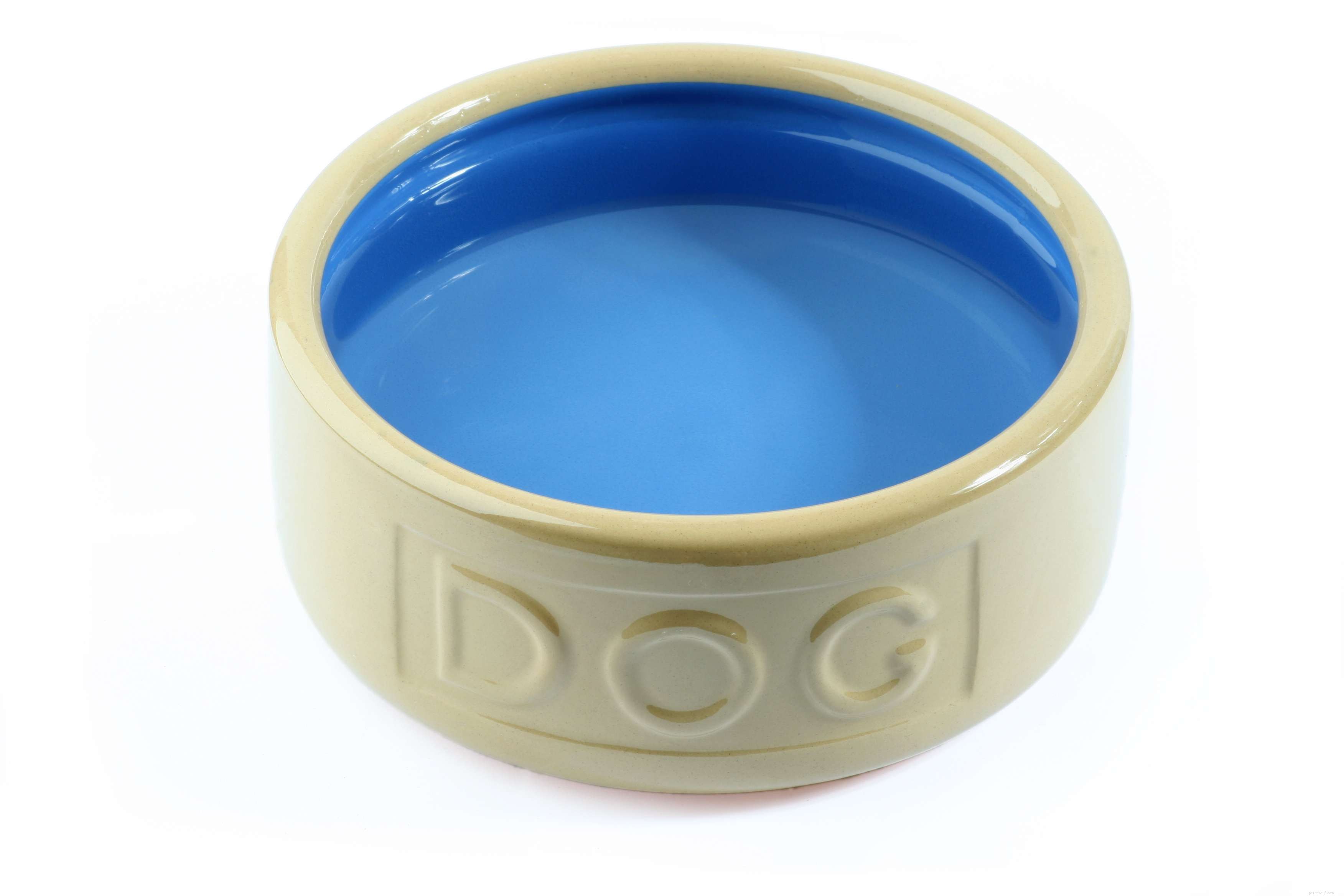 Choosing the Ideal Dog Bowl: Safety, Durability, and Nutrition for Your Pet