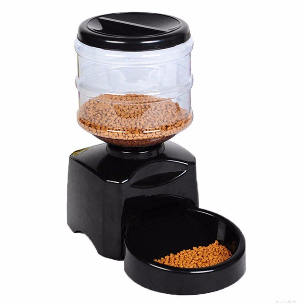 Choosing the Ideal Dog Bowl: Safety, Durability, and Nutrition for Your Pet
