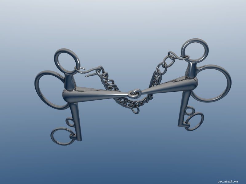 The English Pelham Bit: How It Works, When to Use It, and Key Benefits